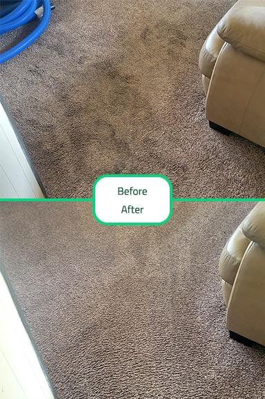 Carpet Cleaning Carpet Cleaning