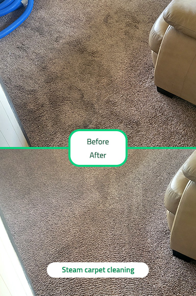 Carpet Cleaning Carpet Cleaning
