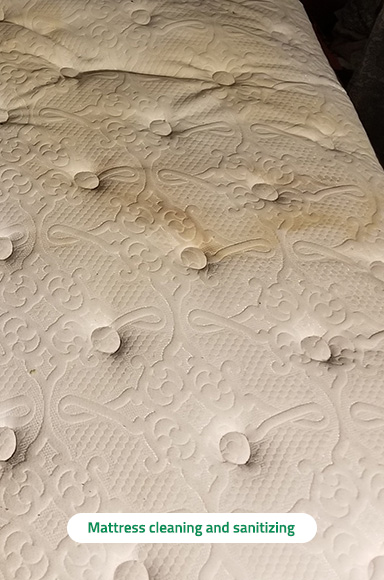 Mattress Cleaning Mattress Cleaning