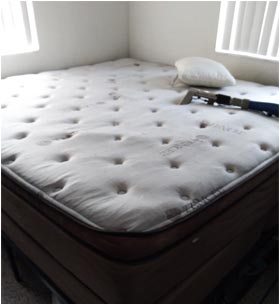 mattress deep cleaning service