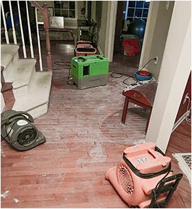 water damages and mold treatment